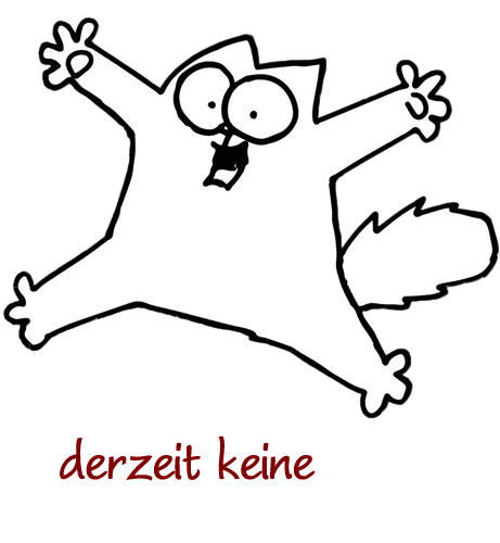 derzeit keine