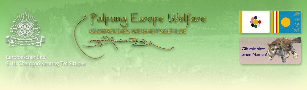 Header Welfare 2026 dt Palpung Europe