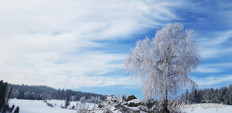 093 © Palpung Europe – www.palpung